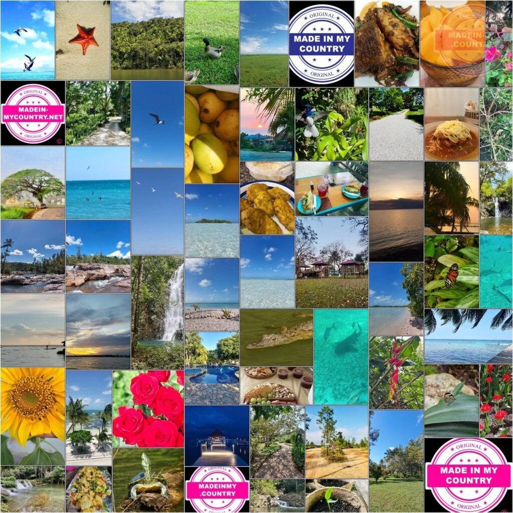 MadeinMycountry Miami (LAT):  MadeinMycountry es una plataforma global que celebra y apoya la historia local, la cultura, el arte y los esfuerzos de conservación de la naturaleza. Durante dos décadas, hemos patrocinado museos locales, organizaciones culturales, destinos turísticos, sitios históricos y diversos eventos culturales en todo el mundo.

