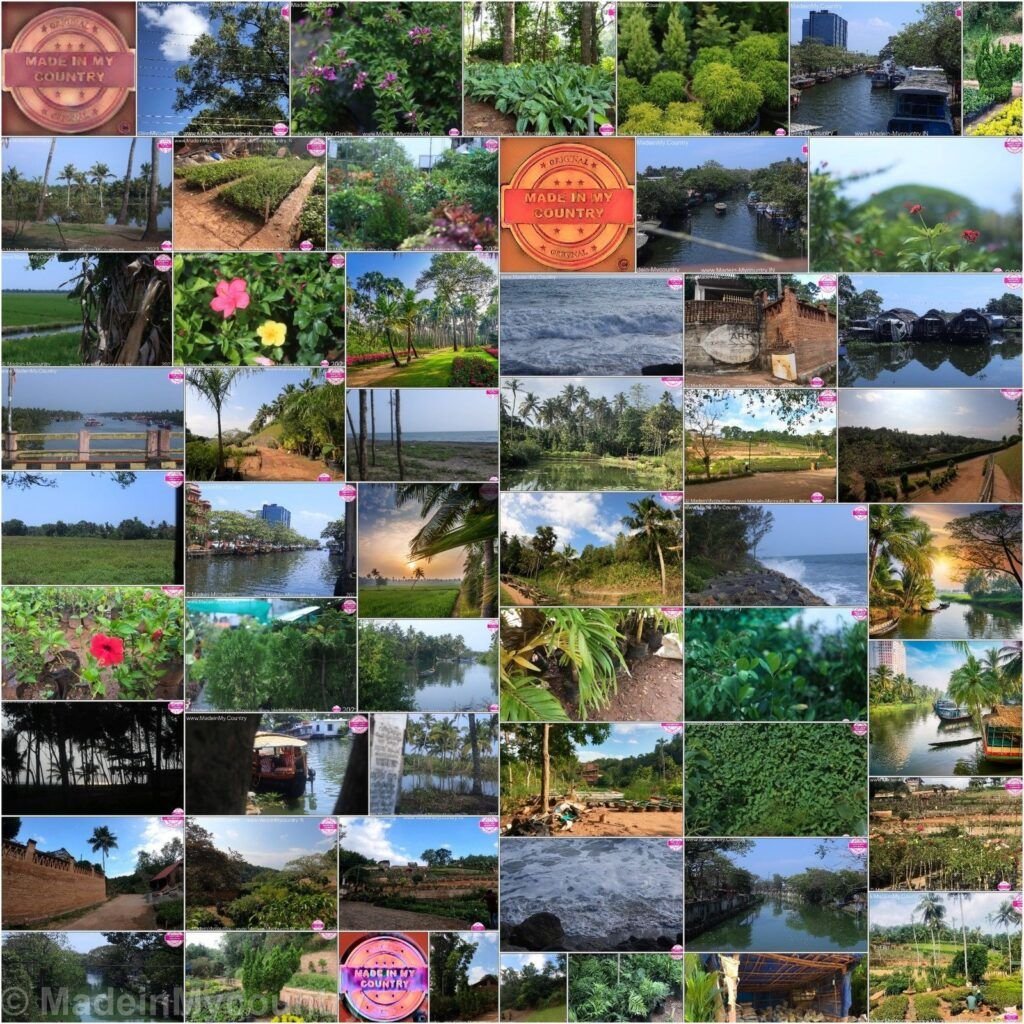MadeinMycountry India! MadeinMycountry is a global platform that celebrates and supports local history, culture, art and nature conservation efforts.